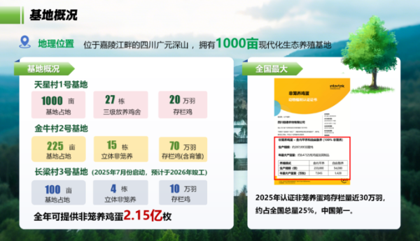 五年扩产近30倍！信德农牧登顶中国非笼养蛋鸡存栏量第一