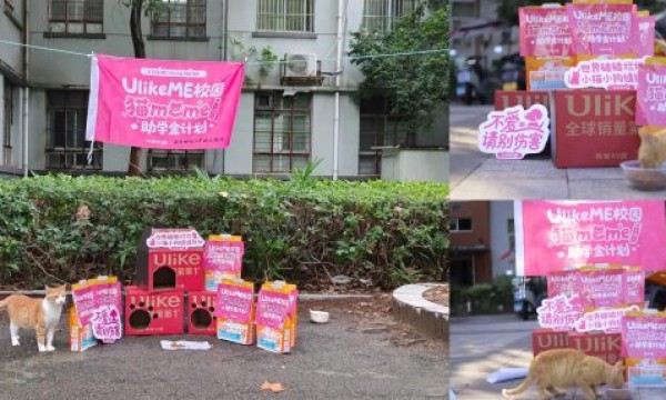 爱瞄行动，UlikeMe令年轻人自我觉醒