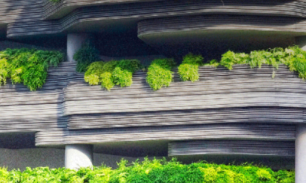 绿建未来｜东鹏新材，为新型城市提供专业的绿建解决方案