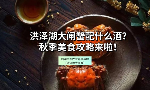 洪泽湖大闸蟹配什么酒？黄金搭配揭晓，让美味更上一层楼！